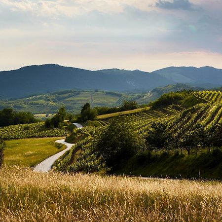 Fine Rooms Vipava Luaran gambar