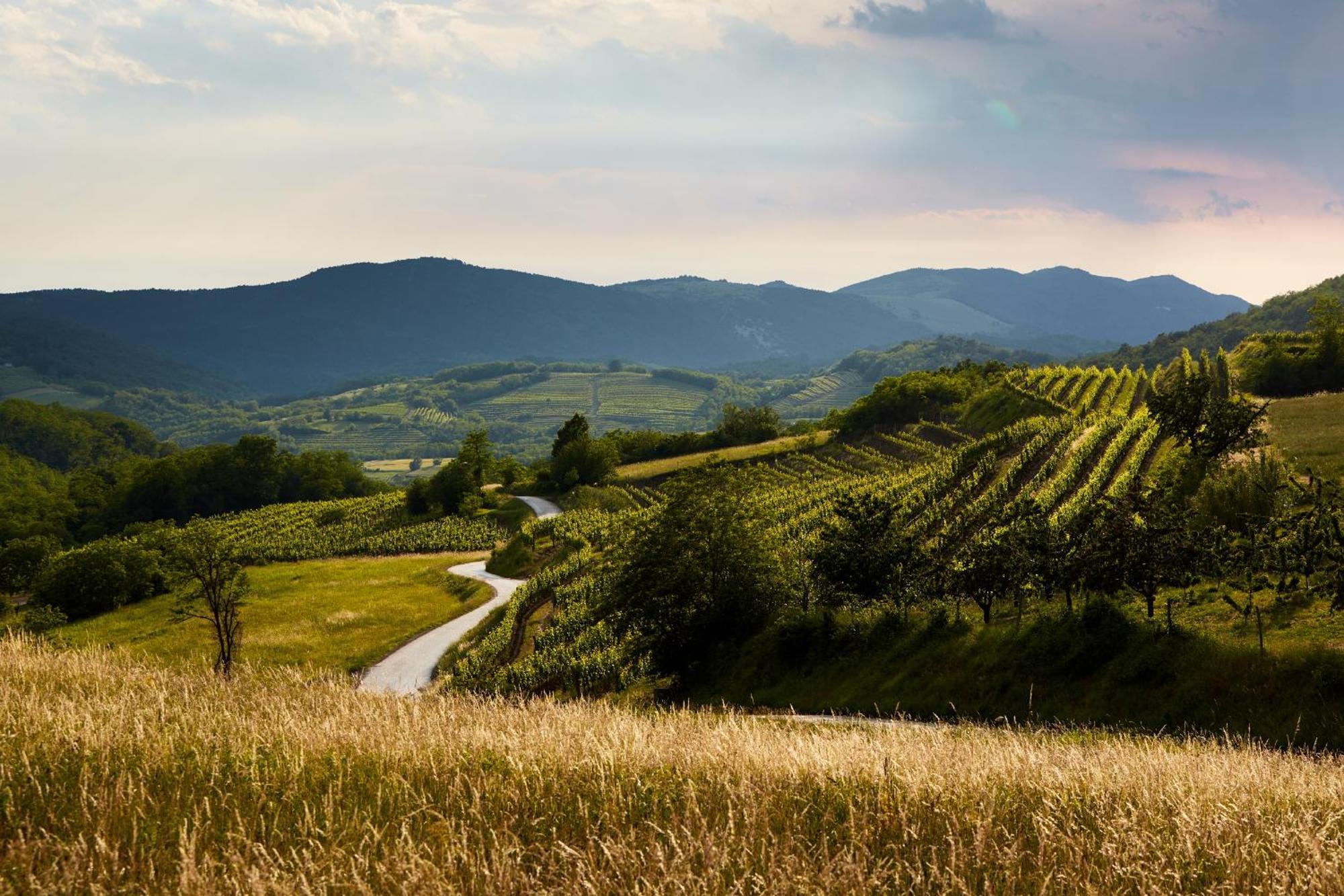 Fine Rooms Vipava Luaran gambar