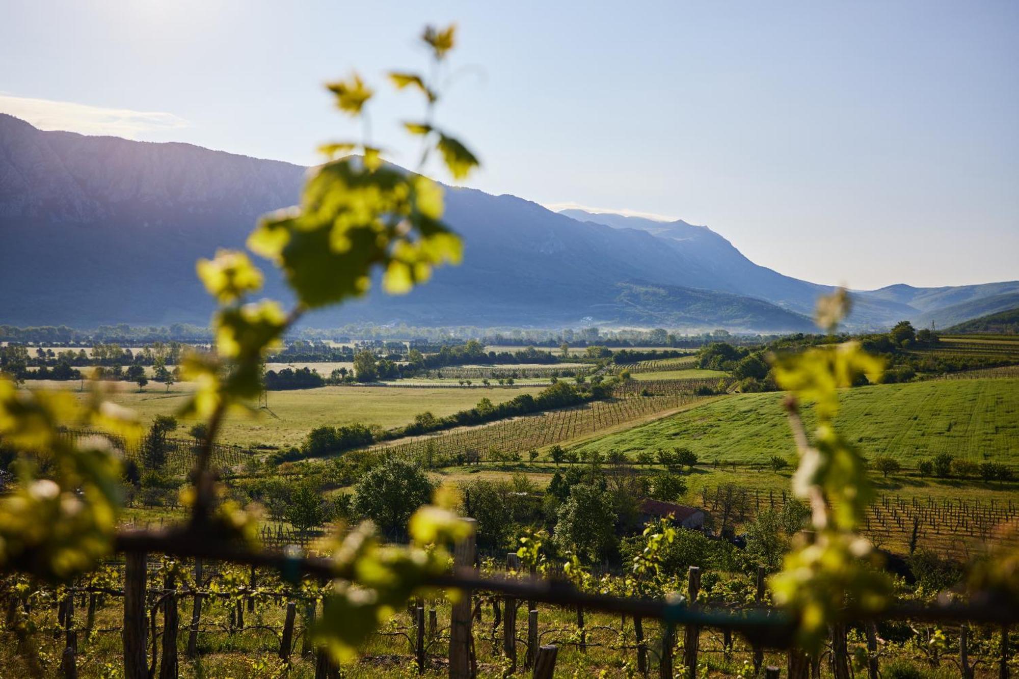 Fine Rooms Vipava Luaran gambar