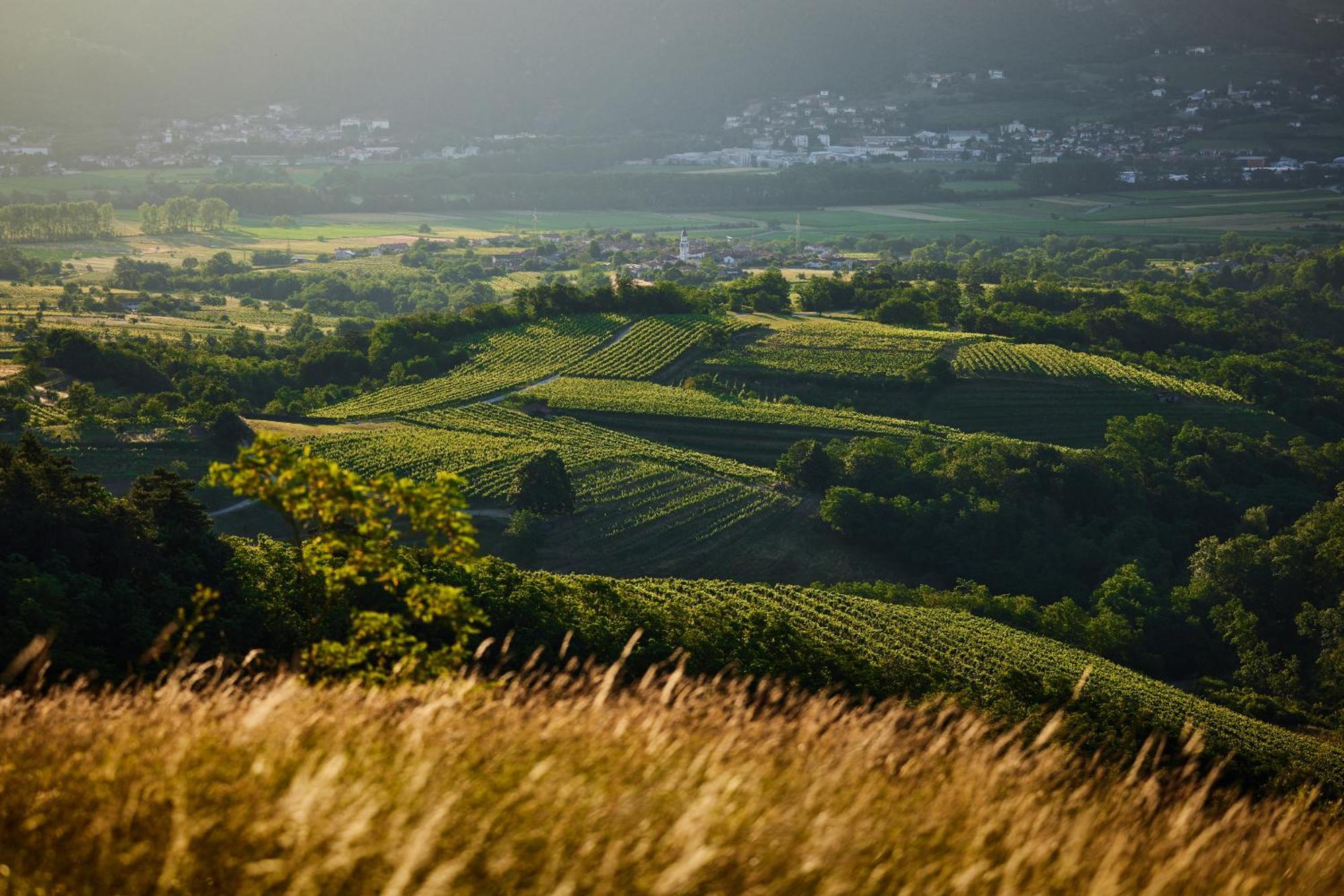 Fine Rooms Vipava Luaran gambar